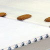 Separating conveyor system: Biscuit transfer